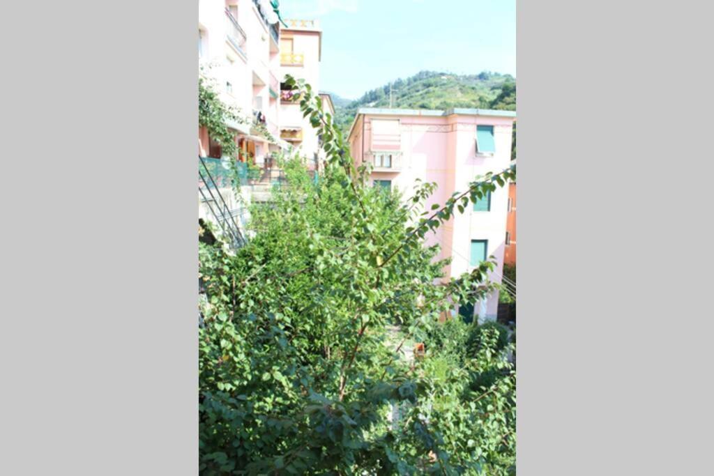Ca Du Rocco - Citra 011019-Lt-0343 Apartment มอนเตรอสโซ อัล มาเร ภายนอก รูปภาพ